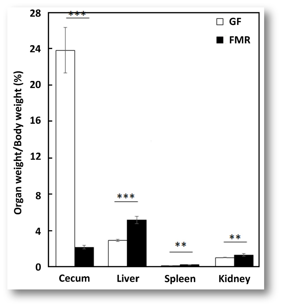 undefined 6cc6cfdd-64cd-450d-97e8-98dfee94c1a2.png