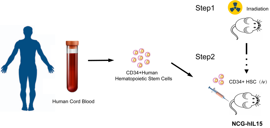 图片7.png 图片7.png