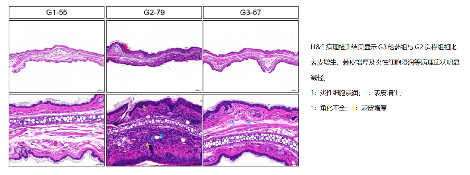 图片4.png 图片4.png