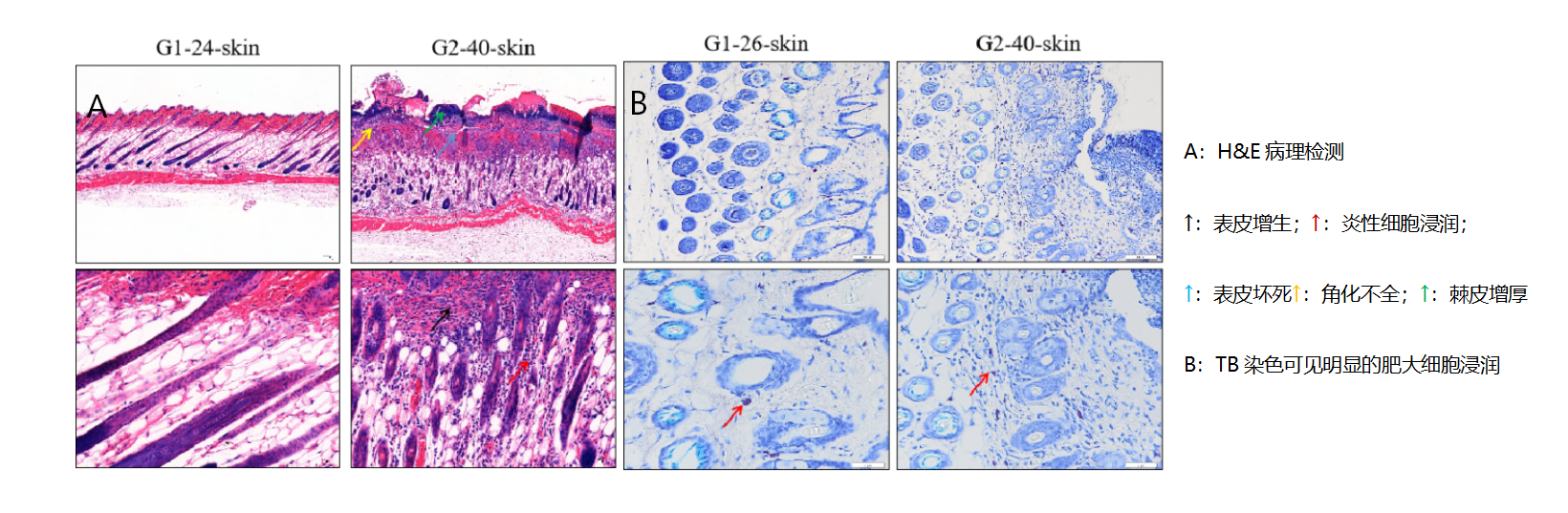 图片6.png 图片6.png