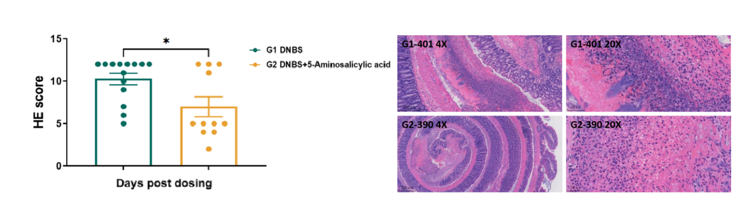 图片4.png 图片4.png
