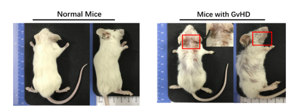 图片5.png 图片5.png