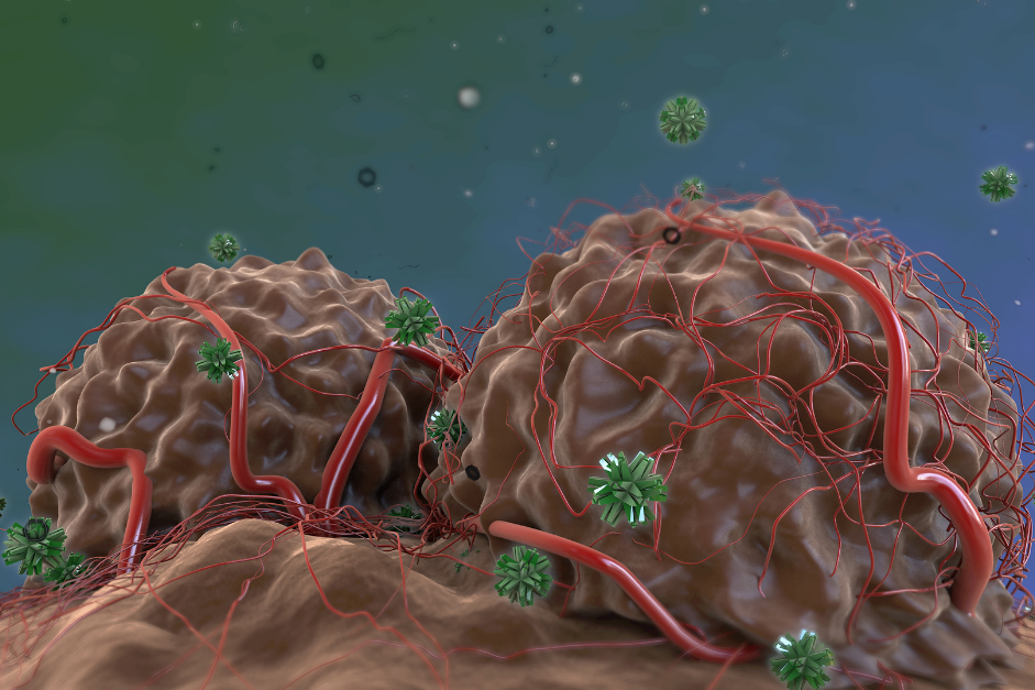 Mouse Models for Studying Anti-PD-1 Resistance